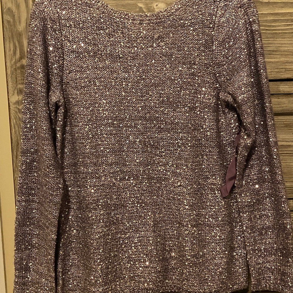 The Limited Sequin Sweater